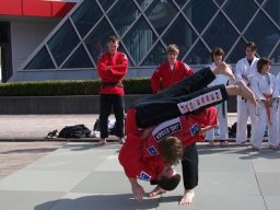 Bilder aus 2011